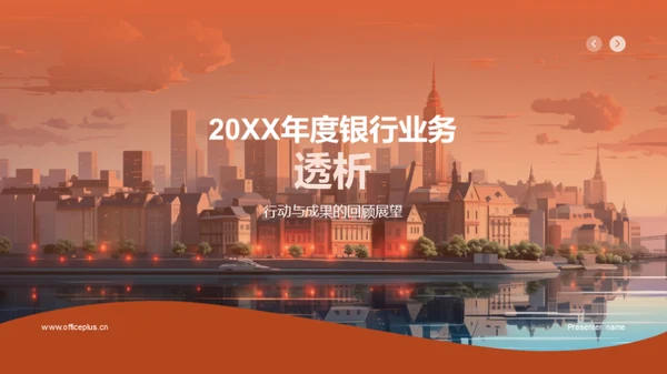 20XX年度银行业务透析