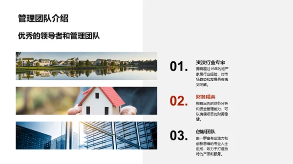 新项目投资展望