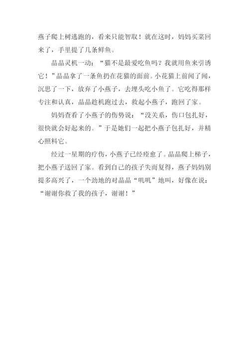 拯救小燕子作文500字.docx