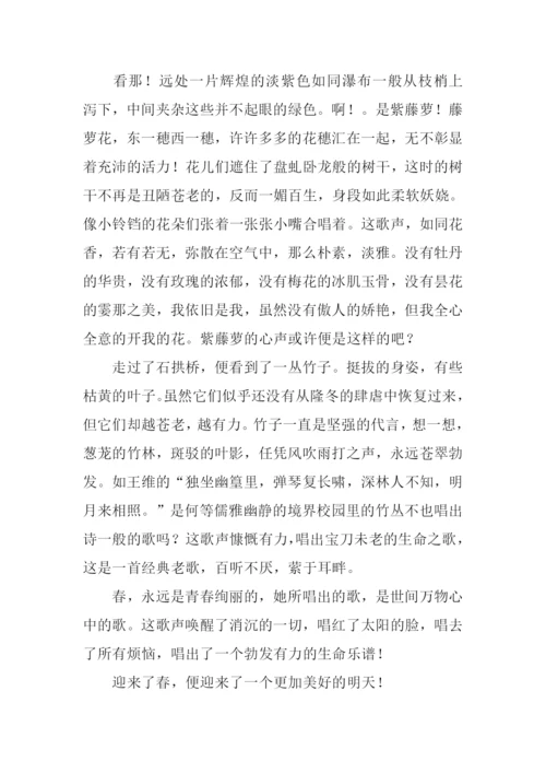 春天里的歌作文.docx
