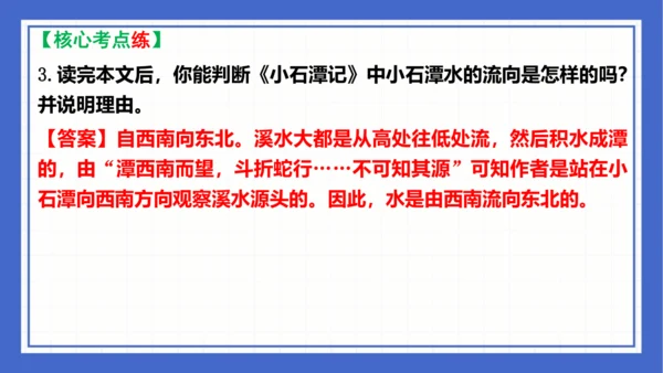 第三单元复习课件 2023-2024学年统编版语文八年级下册(共58张PPT)