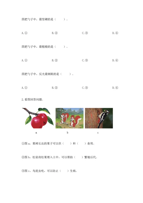 教科版二年级上册科学期末测试卷【达标题】.docx
