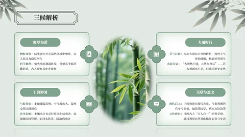 绿色中国风大暑节气介绍通用模板
