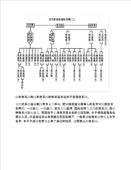 家谱制作：世系图介绍