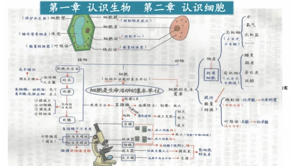 人教版生物七年级上册第一单元《生物与细胞》单元复习课件(共53张PPT)