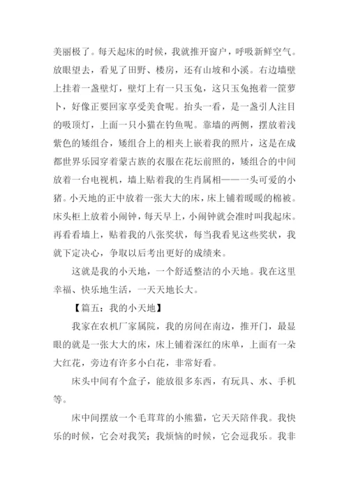小学作文我的小天地.docx