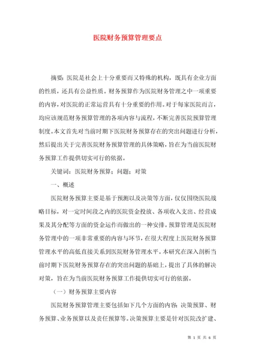 医院财务预算管理要点.docx