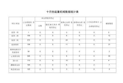 十月份起重机械数据统计表.docx