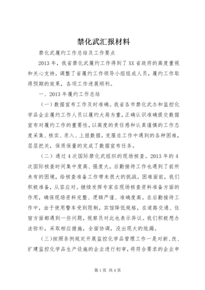 禁化武汇报材料 (3).docx