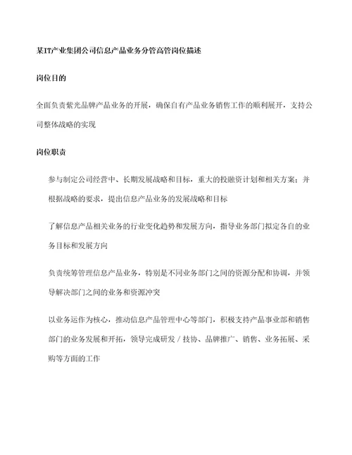 it产业集团公司信息产品业务分管高管岗位描述