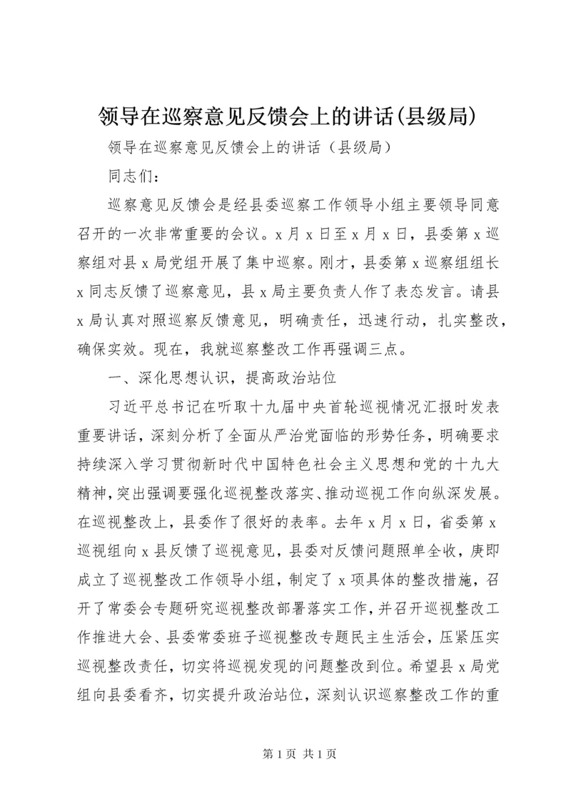 领导在巡察意见反馈会上的讲话(县级局).docx