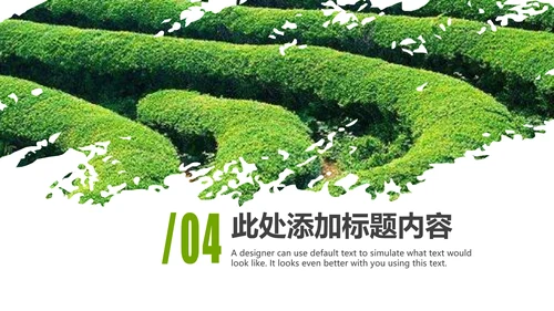 清新绿茶茶文化采茶茶道茶艺茶文化PPT模板