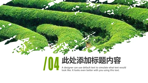 清新绿茶茶文化采茶茶道茶艺茶文化PPT模板