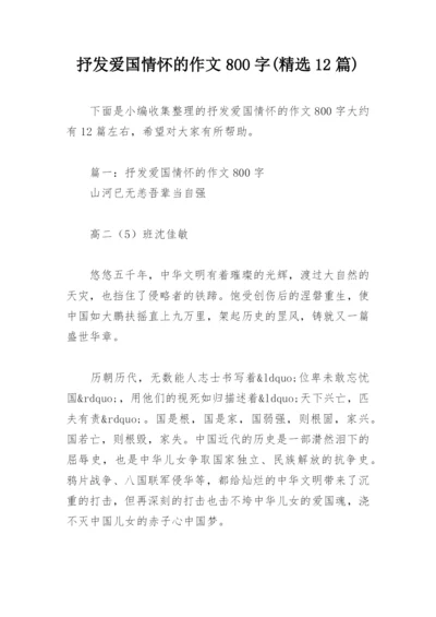 抒发爱国情怀的作文800字(精选12篇).docx