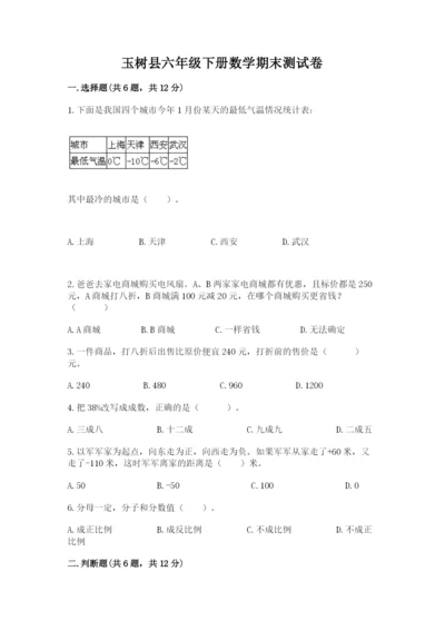 玉树县六年级下册数学期末测试卷（考点梳理）.docx