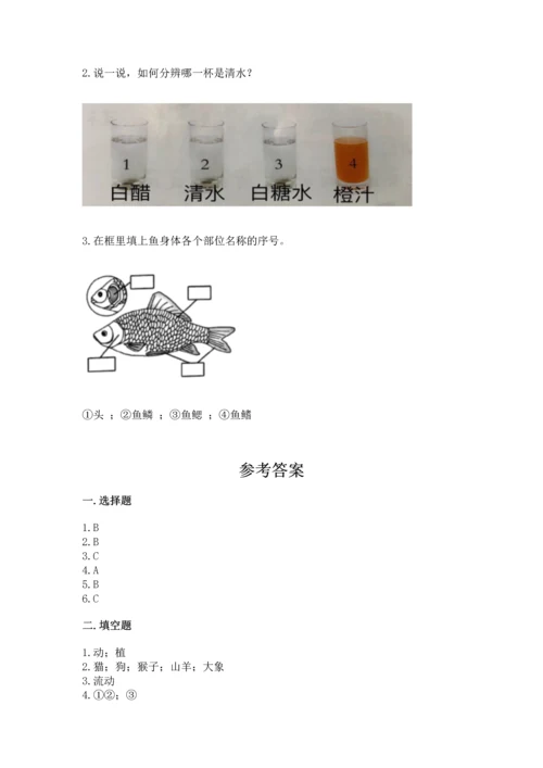 教科版一年级下册科学期末测试卷可打印.docx