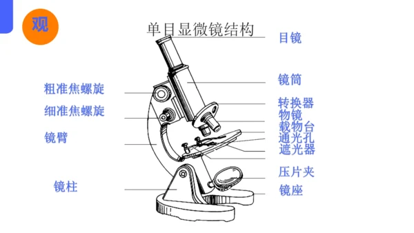 人教版（2024）七年级上册1.2.1 学习使用显微镜 课件(共29张PPT)