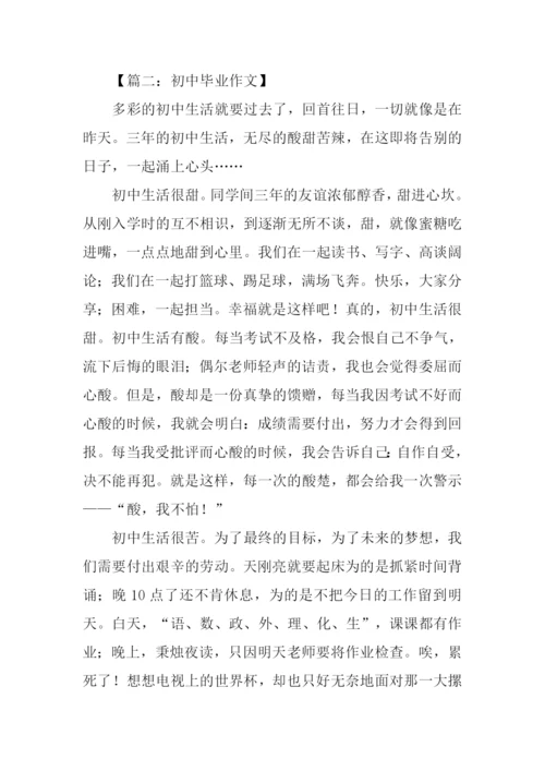 初中毕业作文600字.docx