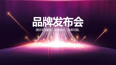 紫色公司品牌发布会策划方案工作总结PPT