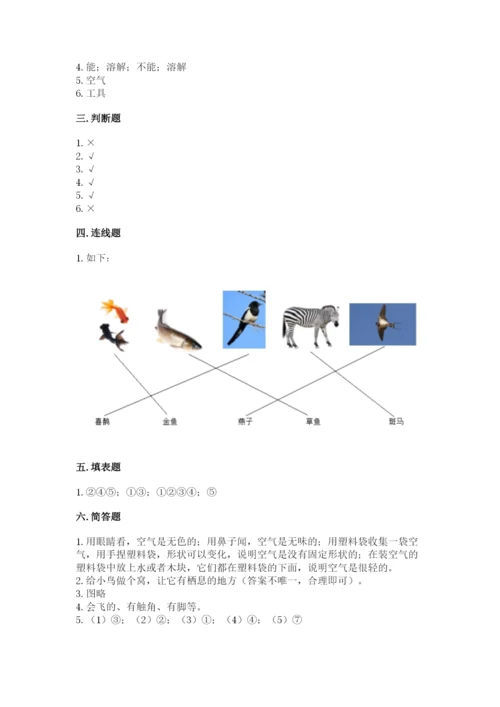 教科版小学科学一年级下册期末测试卷及参考答案【综合卷】.docx