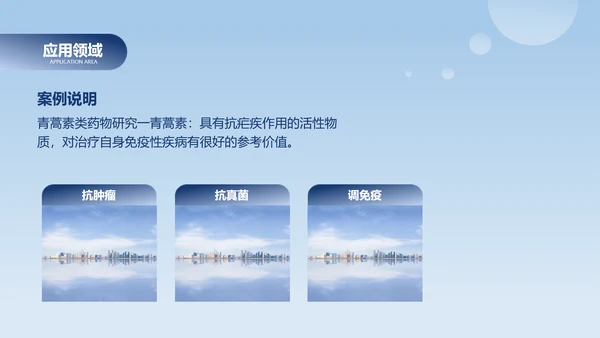 简约风浅蓝有机化学毕业论文答辩