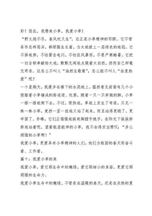 我是小草作文500字6篇