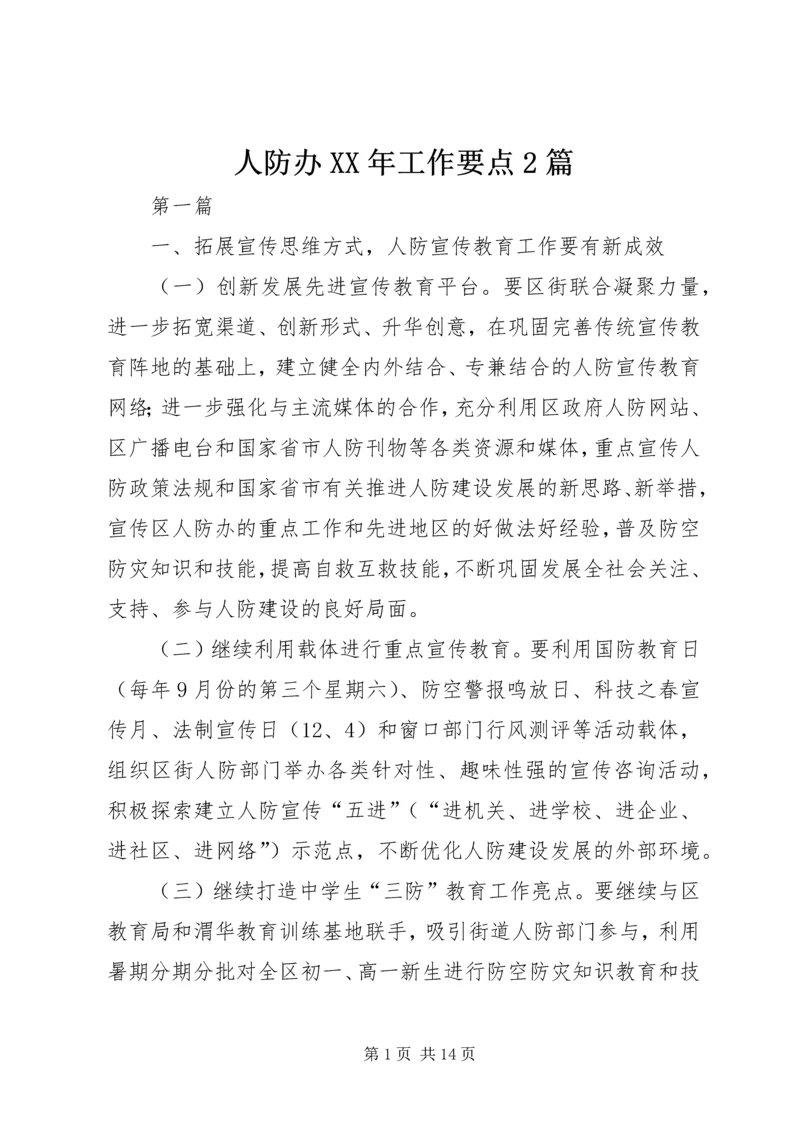 人防办某年工作要点2篇精编.docx