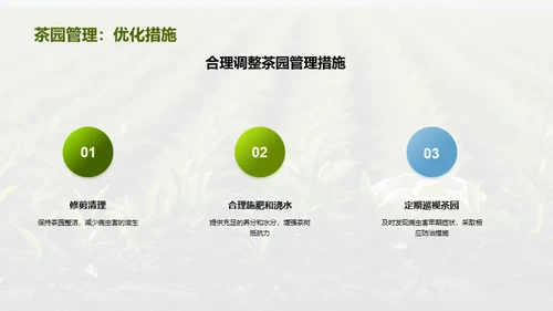 茶园病虫害科学防治