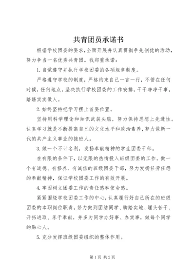 共青团员承诺书.docx