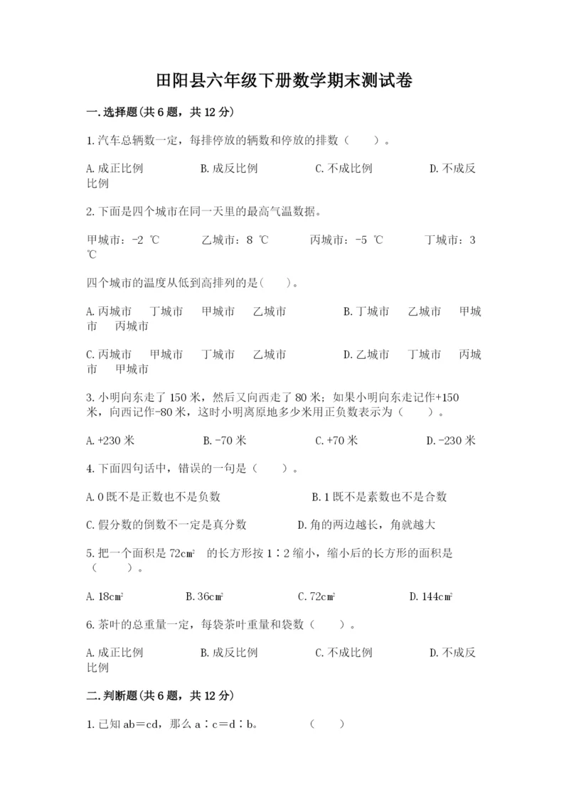 田阳县六年级下册数学期末测试卷及精品答案.docx