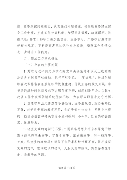 不担当不作为专项整治报告.docx