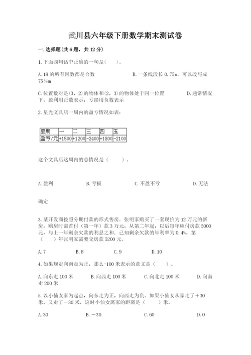 武川县六年级下册数学期末测试卷精品.docx