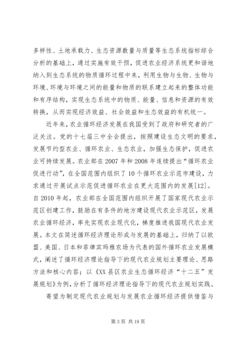 现代化农业规划理论探讨.docx