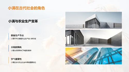 小满节气全解析