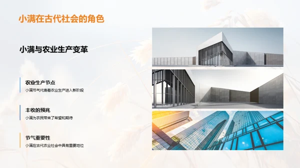 小满节气全解析