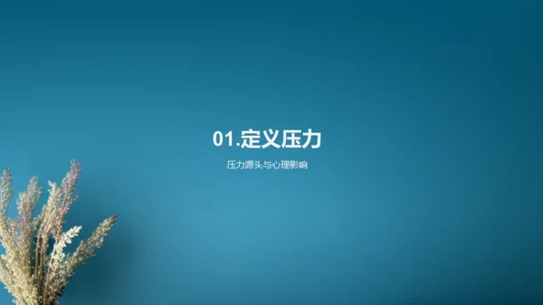 压力解析与应对