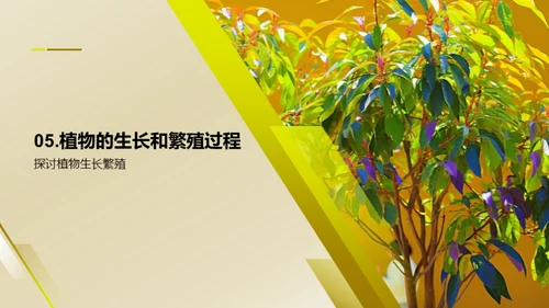 商务风教育培训教学课件PPT模板