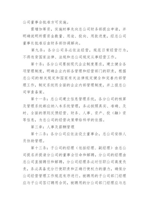 分公司管理制度_3.docx