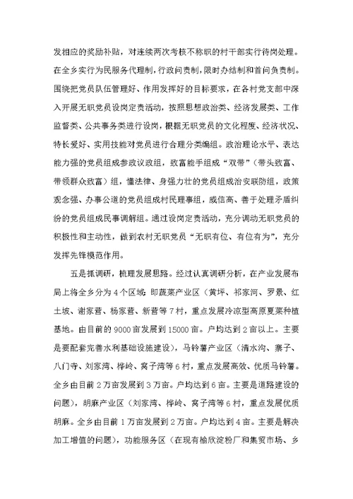农村基层组织建设专题述职报告