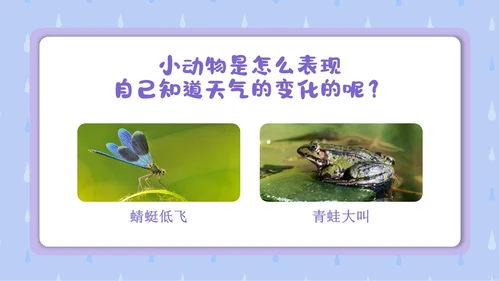 蓝色卡通插画简约小小气象员幼儿园认识天气教学课件PPT课件