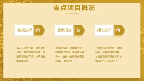 尊贵奢华创业融资计划书动态PPT