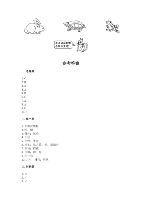 教科版一年级下册科学期末测试卷【各地真题】.docx