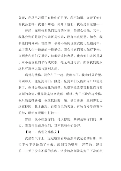 离别的痛作文.docx