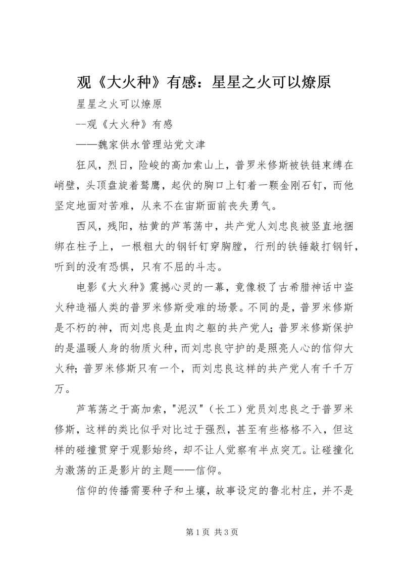 观《大火种》有感：星星之火可以燎原.docx