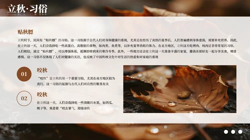 棕色简约商务立秋科普教学课件PPT模板