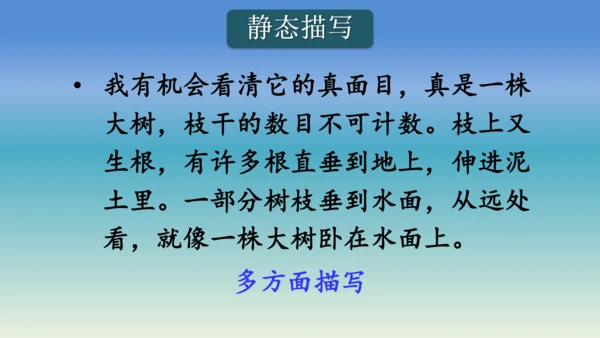 【同步课件】部编版语文五年级上册 语文园地七 课件（2课时）
