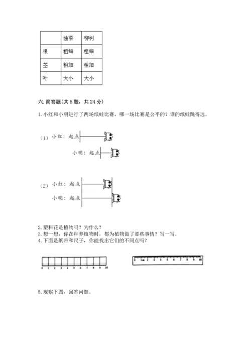 教科版一年级上册科学期末测试卷精品【夺冠系列】.docx