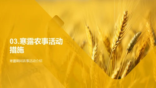 寒露农事与科学应对