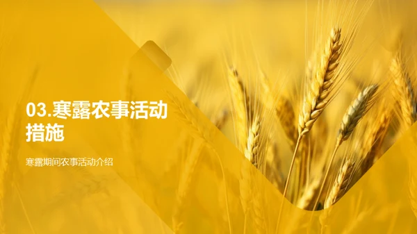 寒露农事与科学应对