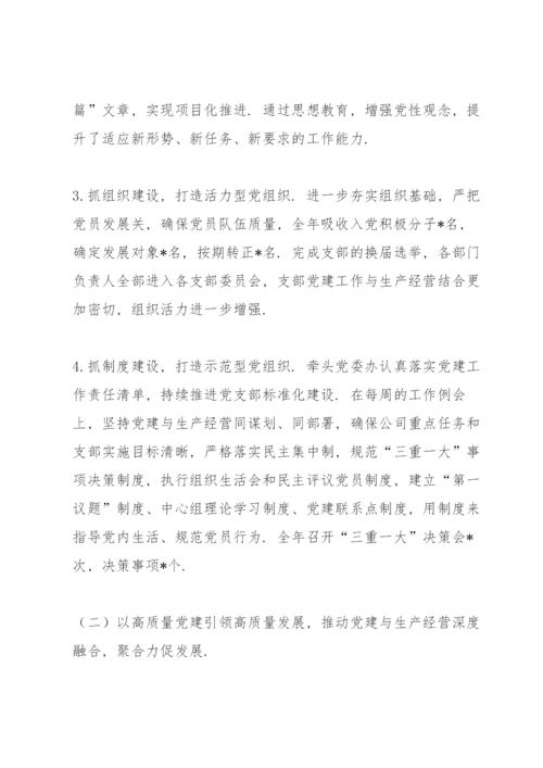 公司党委领导抓党的建设工作情况总结.docx